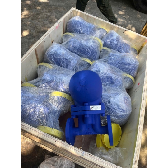 BẪY HƠI PHAO MẶT BÍCH DN25