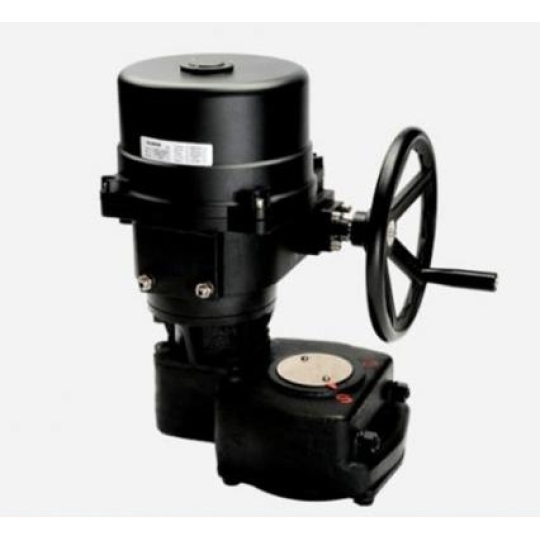 ĐỘNG CƠ ĐIỆN FLOWINN EOM 10 - 12