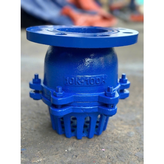 RỌ BƠM GANG MẶT BÍCH BAODING