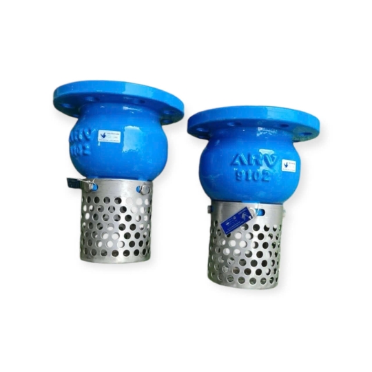 RỌ HÚT BƠM GANG 10K SW