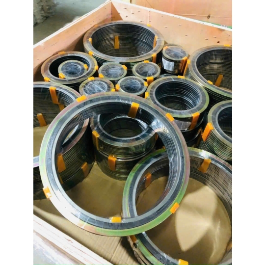 GIOĂNG PTFE MẶT BÍCH PN10