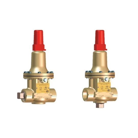 VAN AN TOÀN BẢO VỆ BƠM 55L-60