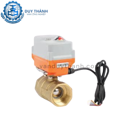 Van bi ren đồng điều khiển điện