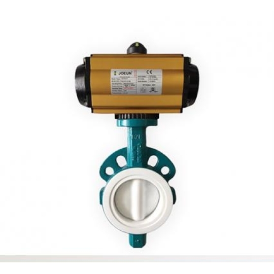 Van Bướm Bọc PTFE