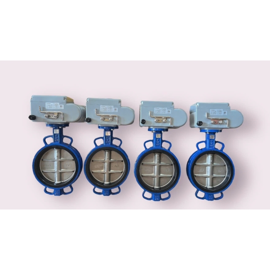 VAN BƯỚM ĐIỆN EOT10-O-DS-K2