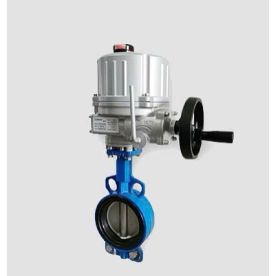 BỘ ĐIỀU KHIỂN ĐIỆN EOH10 FLOWINN TAY QUAY