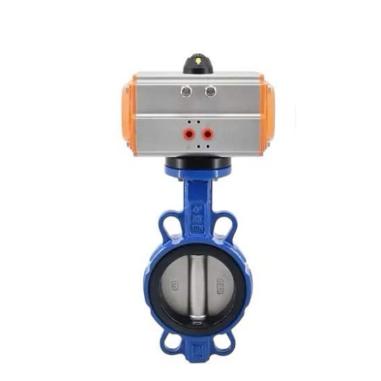 VAN BƯỚM INOX 304 RON PTEF KHÍ NÉN SANPO MALAYSIA