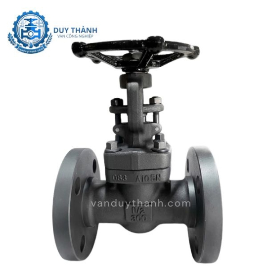  Van Cổng Thép Rèn Mặt Bích A105 Joeun