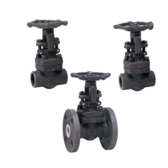 VAN CỔNG THÉP A105 MẶT BÍCH