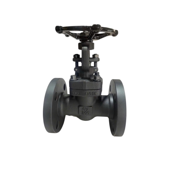 VAN CỔNG THÉP RÈN A 105 JOEUN MẶT BÍCH