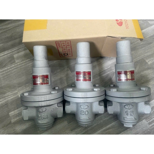 VAN GIẢM ÁP HƠI NỐI REN RDST-1S