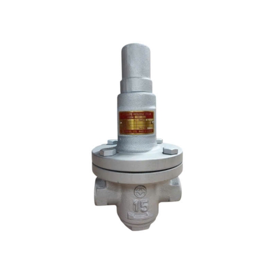 VAN GIẢM ÁP HƠI YNV PIR-1S NỐI REN