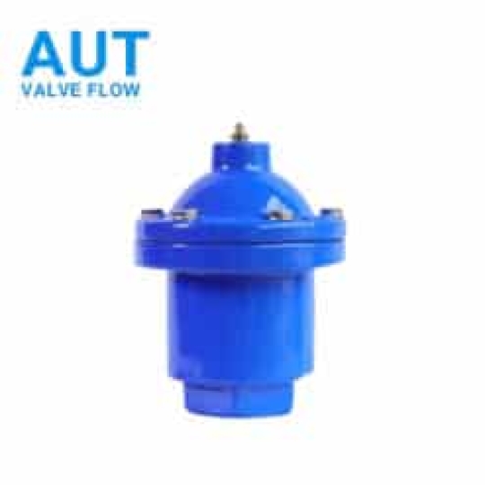 VAN XẢ KHÍ REN FIG071 AUT MALAYSIA