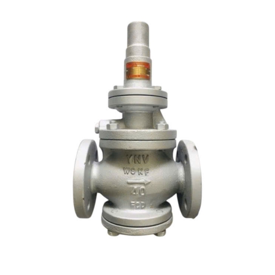 VAN GIẢM ÁP HƠI MẶT BÍCH 10K YOSHITAKE GP 1000