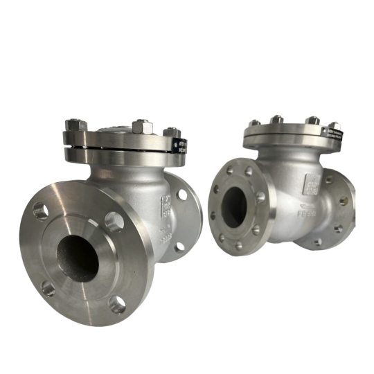 VAN MỘT CHIỀU INOX ANSI 150