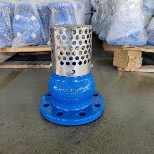 RỌ HÚT BƠM GANG 10K SW