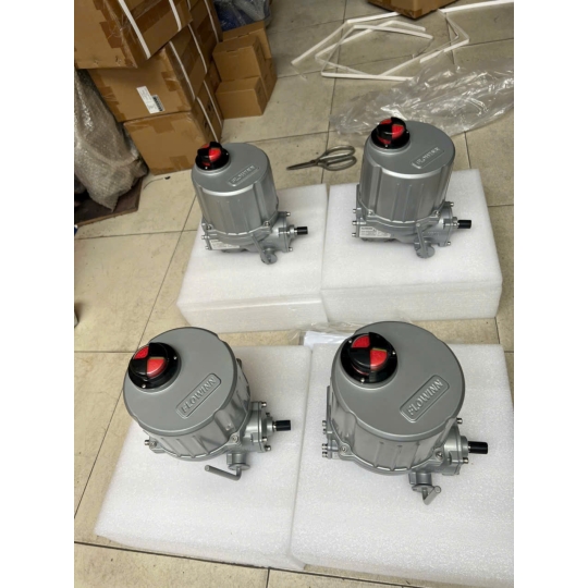 BỘ ĐIỀU KHIỂN ĐIỆN EOH10 FLOWINN TAY QUAY