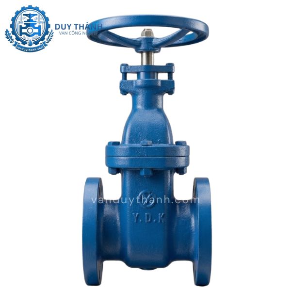 Van Cổng Gang Ty Nổi Mặt Bích 10K YDK