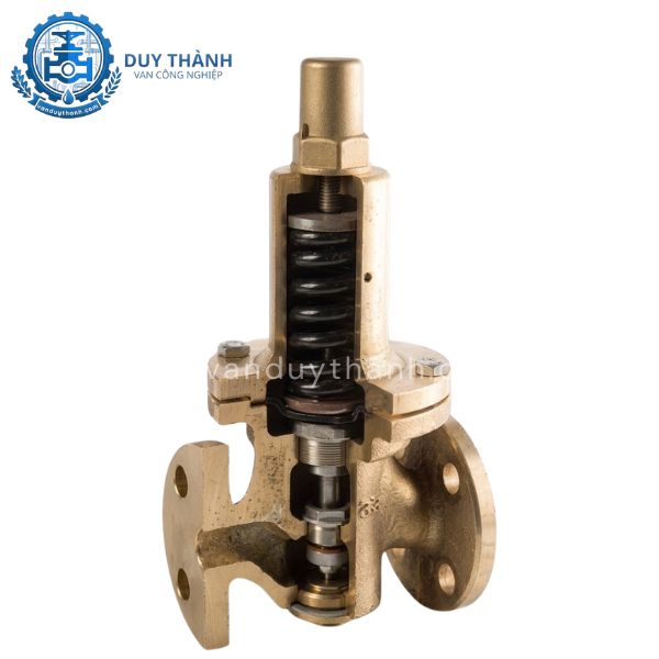 Mặt cắt Van Giảm Áp Mặt Bích YNV DRE-1F