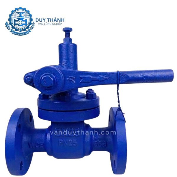Van Xả Đáy Lò Hơi Thép Mặt Bích PN25
