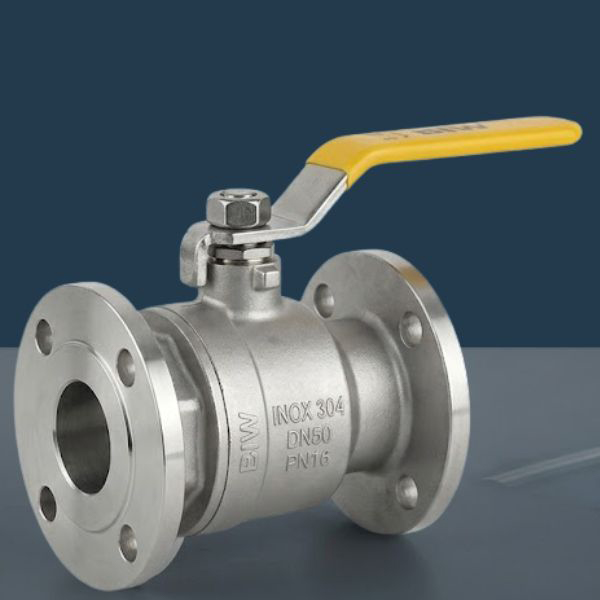 Van một chiều mặt bích 304