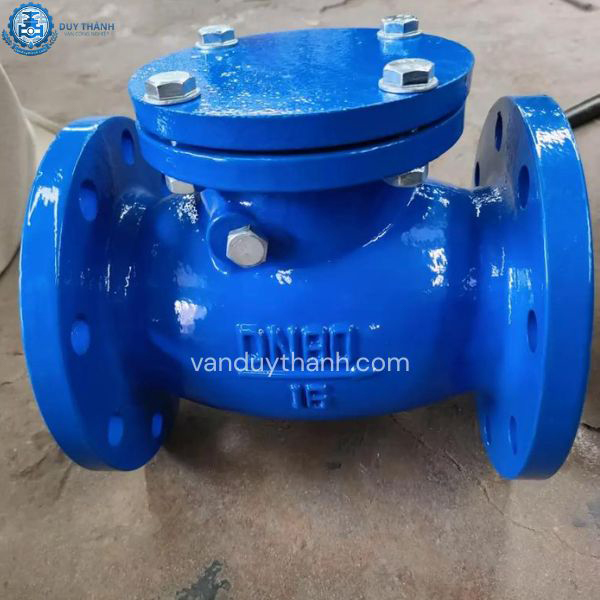 Van một chiều mặt bích