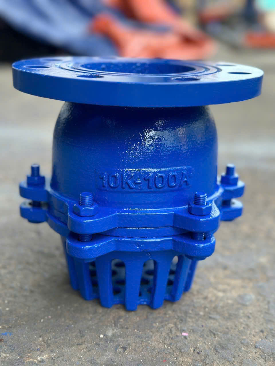 RỌ BƠM GANG MẶT BÍCH BAODING