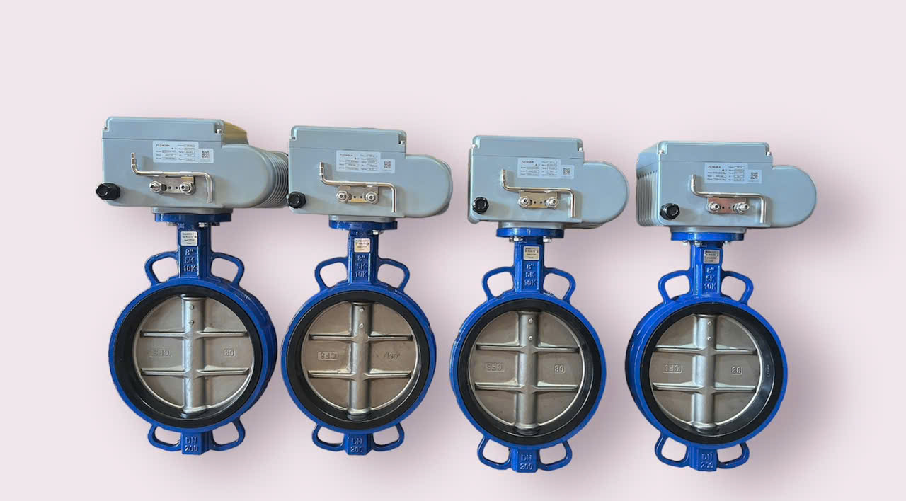 VAN BƯỚM ĐIỆN EOT10-O-DS-K2