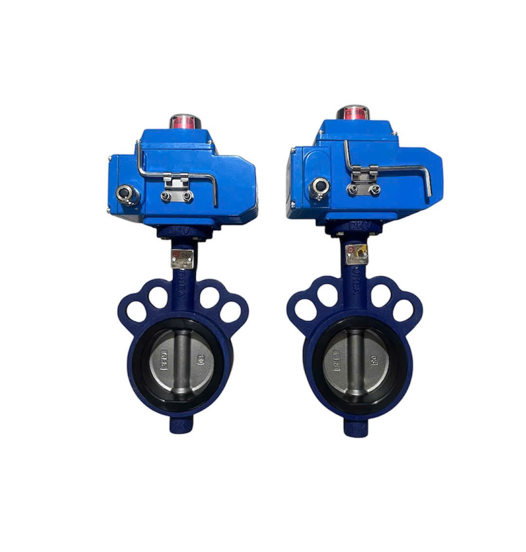 VAN BƯỚM GANG KST ĐIỆN 