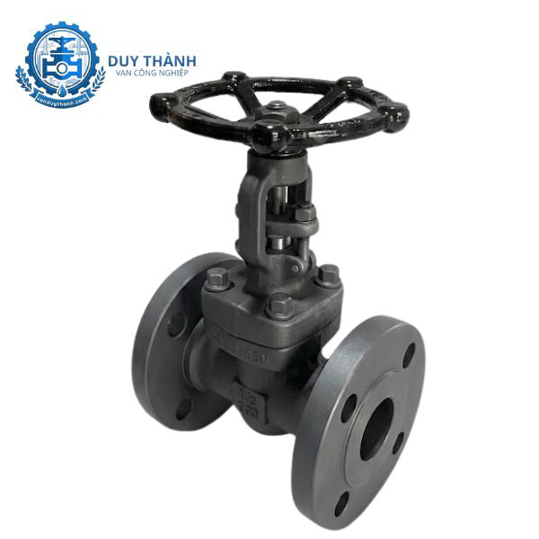  Van Cổng Thép Rèn Mặt Bích A105 Joeun