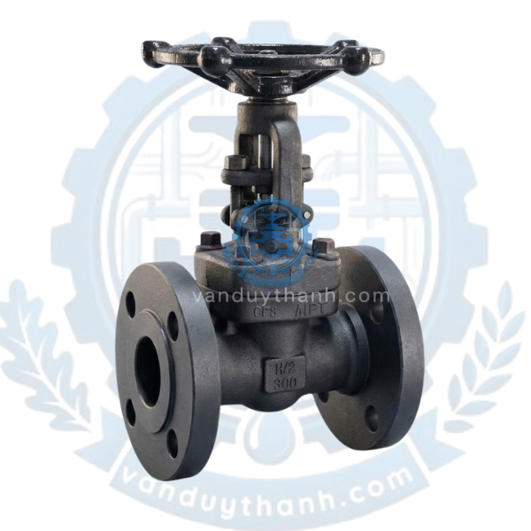 Van Cổng, Van Cửa Thép Mặt Bích A105 FBV