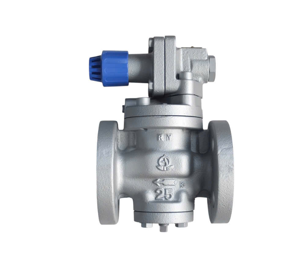 VAN GIẢM ÁP HƠI MẶT BÍCH JIS 10K RP-6 VENN